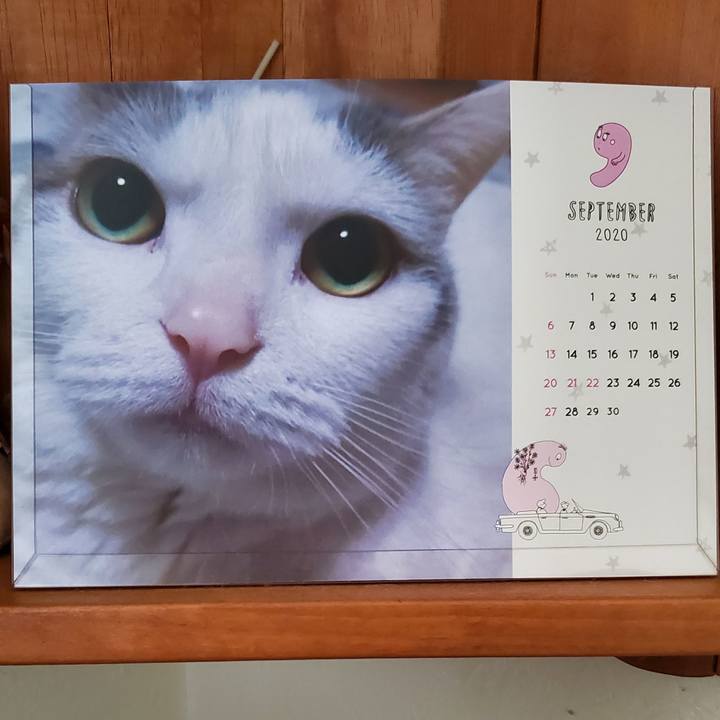 10cb7a92 c455 49af 8a70 07a721cf262d 1598921033274