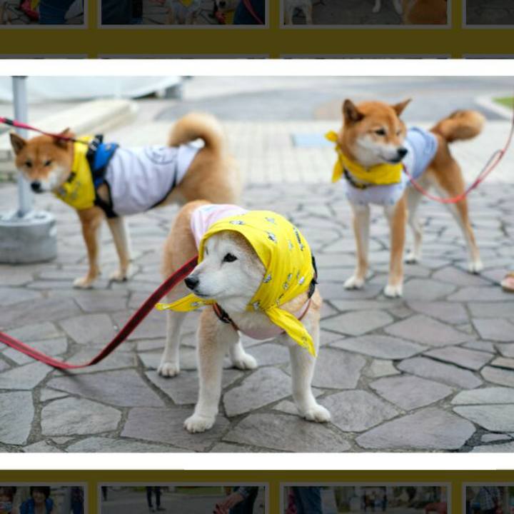 10cb952f 66fc 41a8 8648 68e10c92a5e9 1560301508862