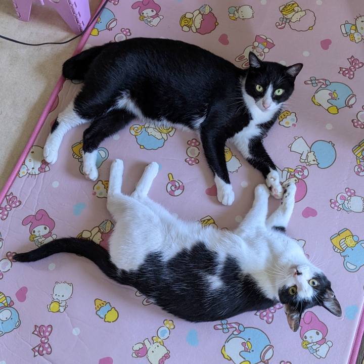 10cbda67 e70a 481c 8725 3fab497a158b 1752540622377