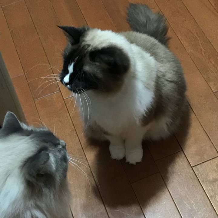 10cbfe81 2681 4393 b114 2efac9dc6666 1519809001670