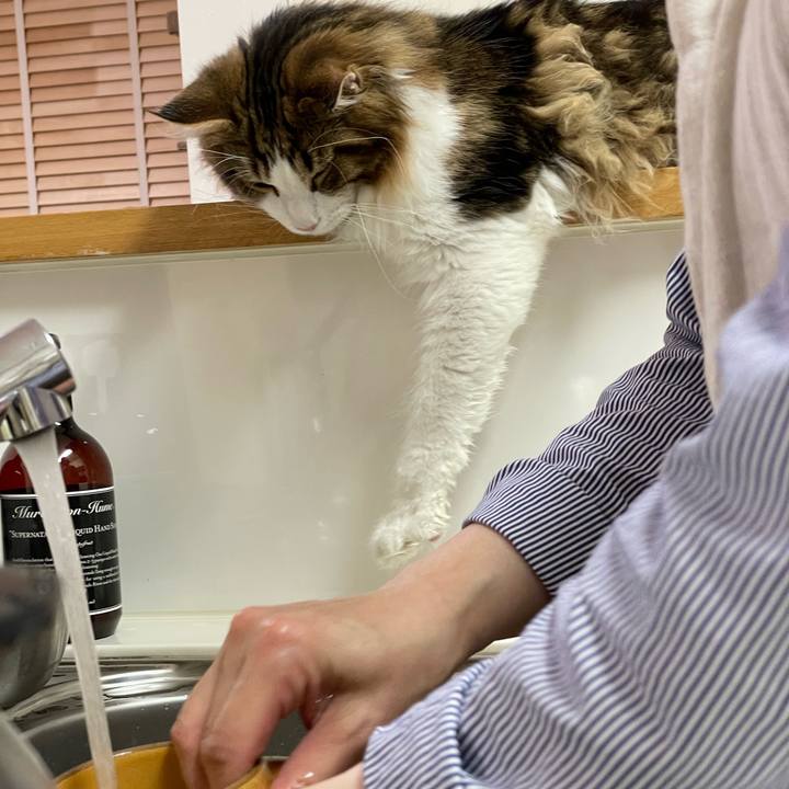 10cc152d 6065 437d b1f9 79f7d0ced7a8 1641292528118