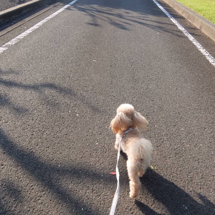 10cc275c 754f 4f86 9018 c8743b4717a4 1590274694522