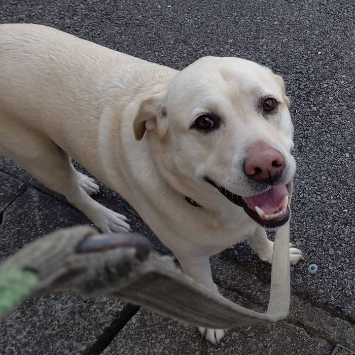 10cc56ea f77c 4341 a678 28f4aa293a51 1645165233720