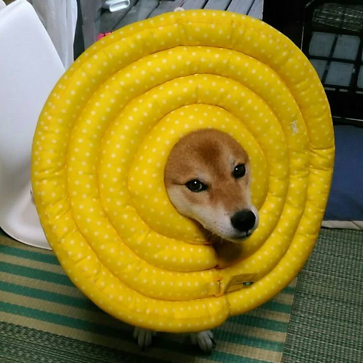 10cc78d9 bb83 4366 ac50 b891bcf08579 1567430784572