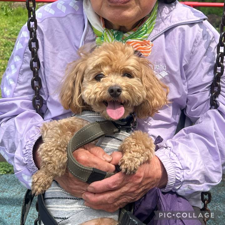 10cc85c8 7f9a 4795 ad89 70d57255a237 1712462108504