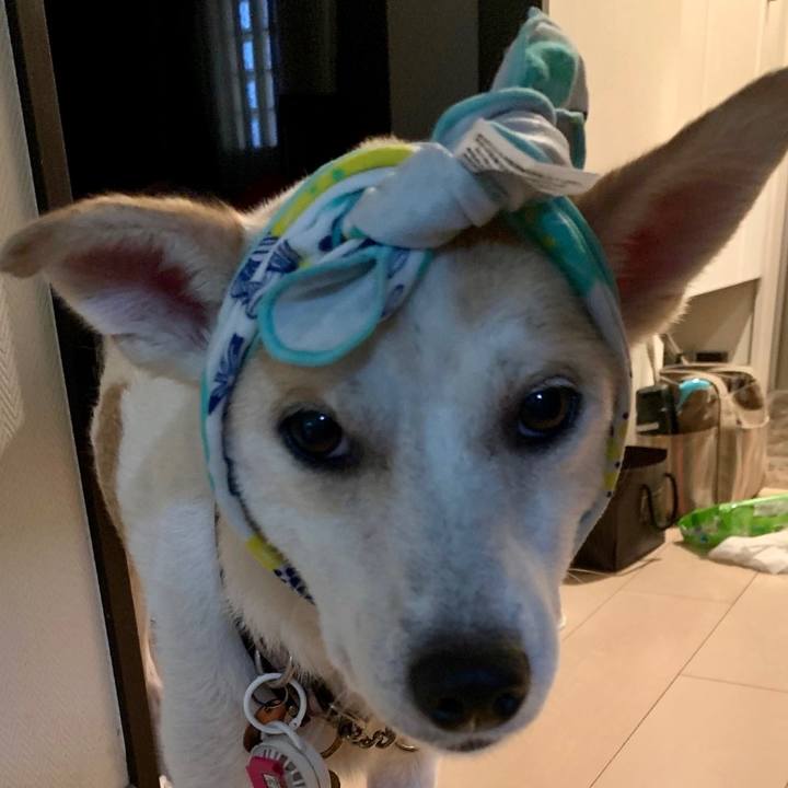 10cc910a c0ad 4fa4 9172 b8ee9aacda57 1659656214531