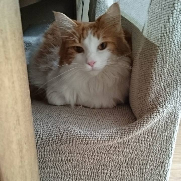 10cc9d47 f233 4aba 8199 f606e002b413 1508644268311