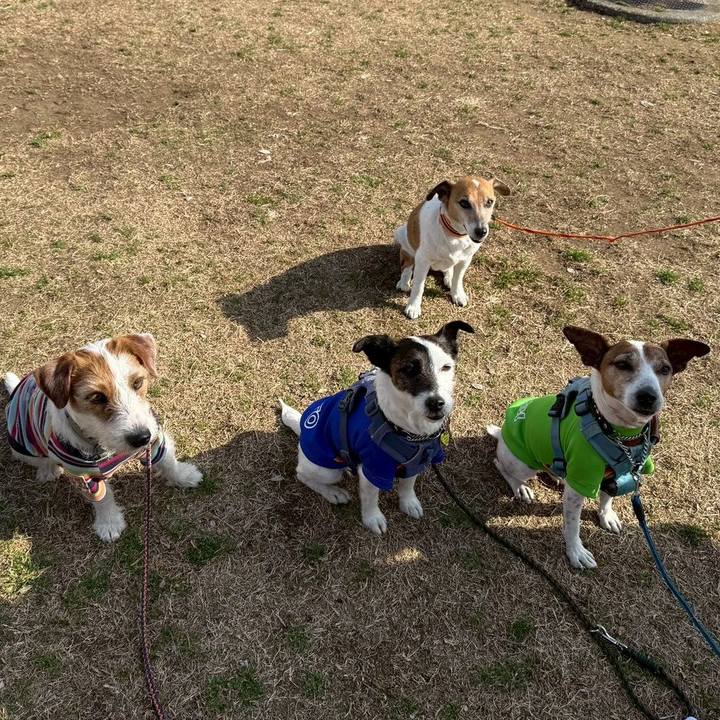 10ccbb8a 531c 4ff5 829d 385346a99ac5 1771762706949