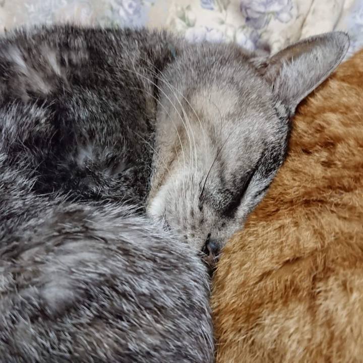 10ccc3d7 48c0 425e 952a 795e0ae75f7e 1607774127573