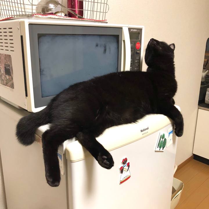 10ccee4b d12b 4ae5 8303 6971e09f4140 1541680391999