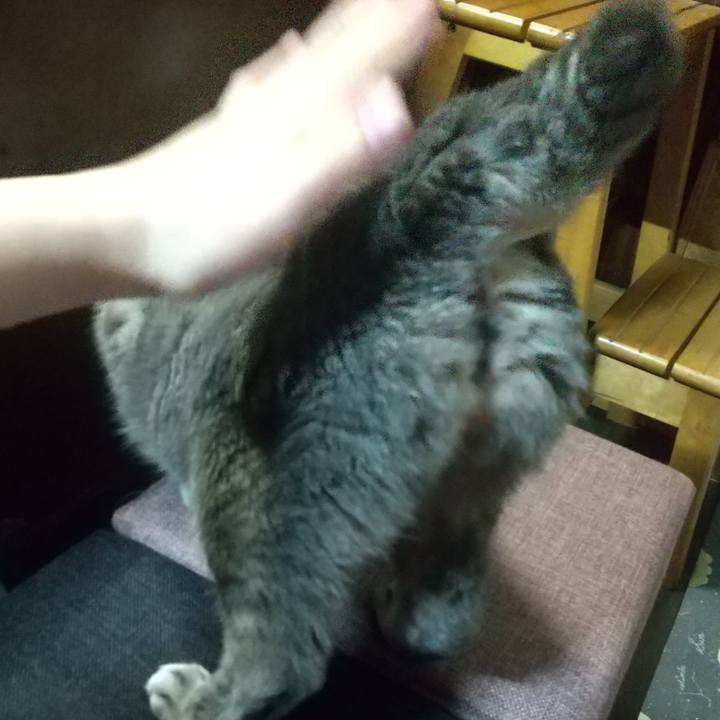 10cd2a02 b35f 4b64 a620 4e376a7d218a 1665747219795