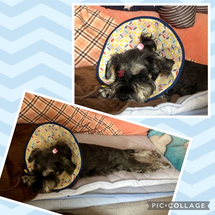 10cd7f2d 5491 4e9d a761 1bb7737c0d8c 1685196116831