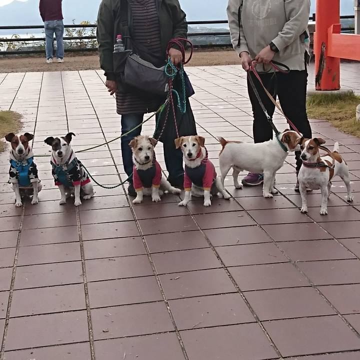 10cd86cd b132 48bf a189 0bb5fc1bc5ff 1606016889001