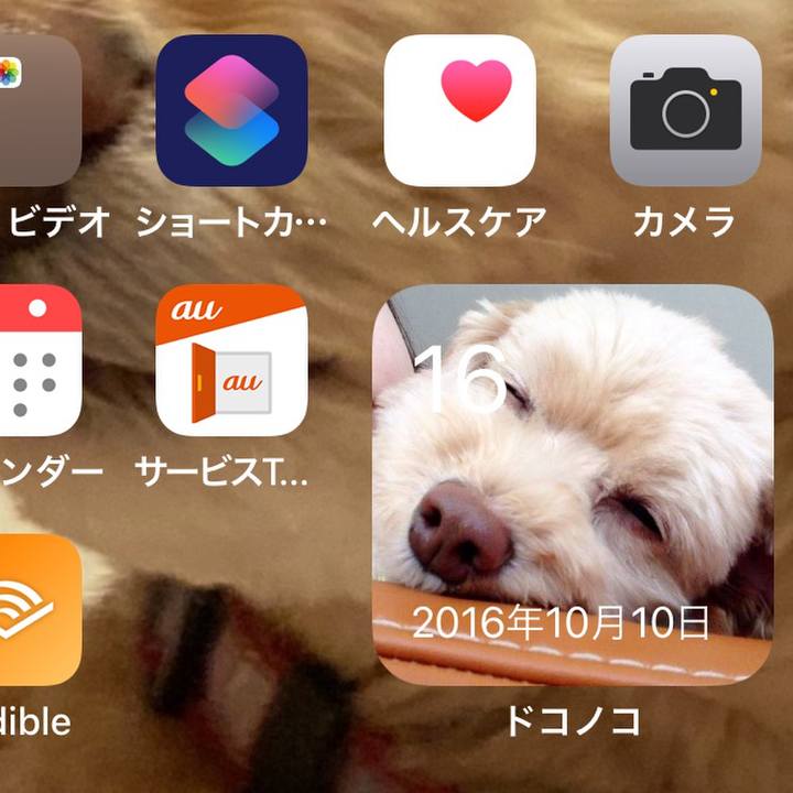 10cda118 7e51 43a4 8c13 74e0ecff088e 1634364738027