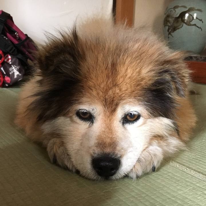 10cdbcf7 e2ee 47b7 bd0e 42287ed59804 1610371206672