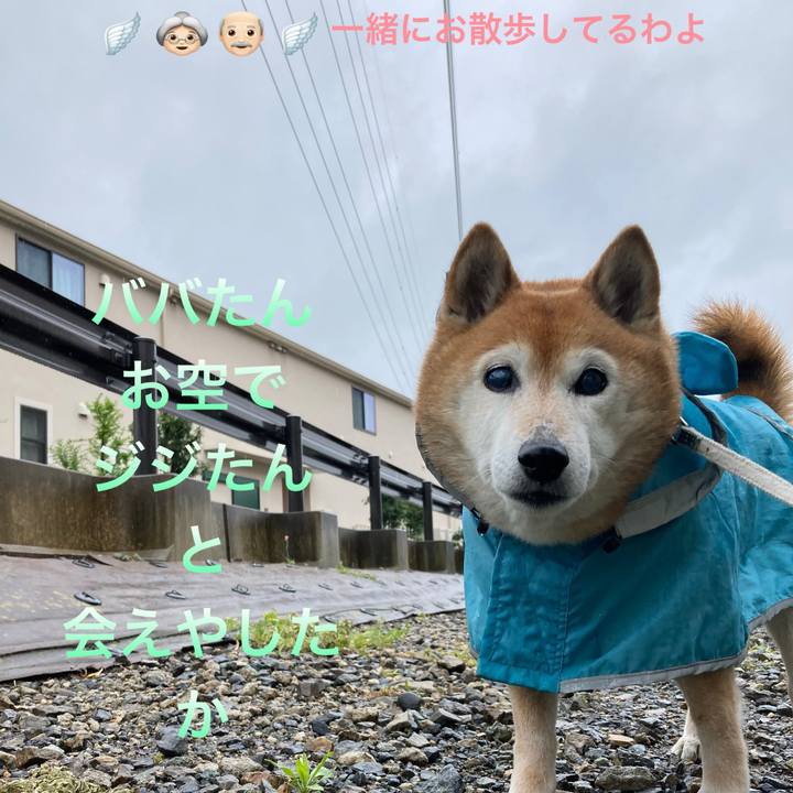 10cdc61c 1159 4506 80fe 783ea1fe3ffc 1744584907136