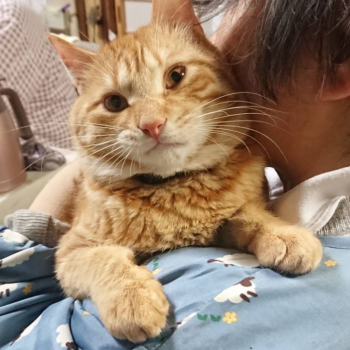 10cdecd2 26a7 439a 9ca9 b7ae117c1698 1646913955557