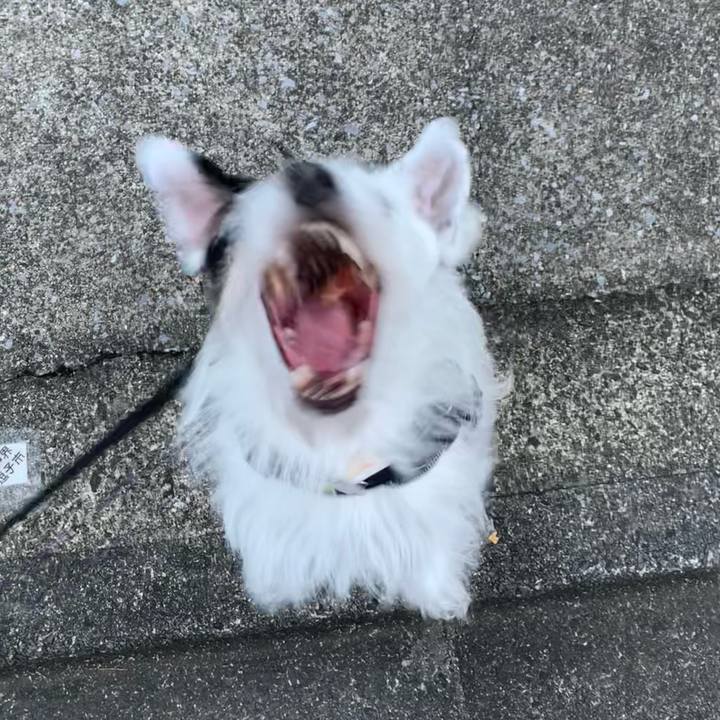 10cdfa85 c730 4cf9 bd0c 753af6537c70 1694510522887