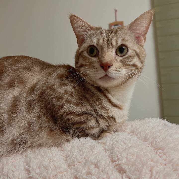 10ce1c23 530c 4d30 962a 1fa3c0f77125 1677501298071