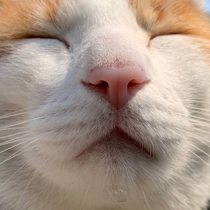 10ce2df4 ee20 4b1b a501 17d437b1df9d 1586923672211