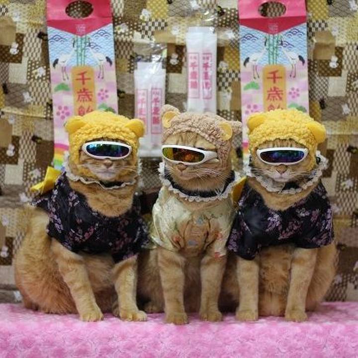 10ce4eb6 5f42 4aee aff6 13ebcda5d8ae 1605438741033