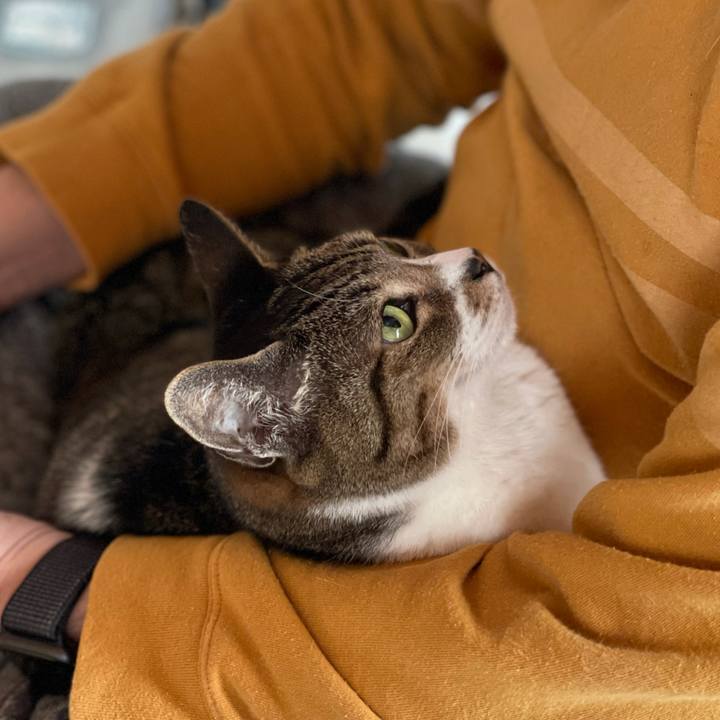 10ce59ea e1f1 4eb2 b814 cf5ffb21bf13 1618537269359