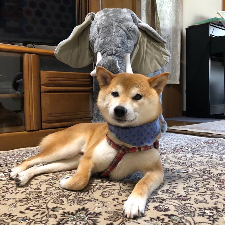 10ce5ffa e2a2 4dd3 ada0 b2cc8a6290fe 1530241701721