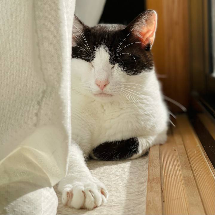 10ce6e73 3121 45cf b52c 15d6e7d9888b 1635473203327