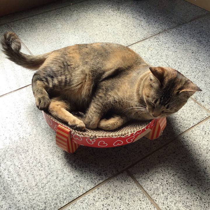 10ce99fb 76e5 4b8a 8848 407861c9ef5d 1582255109961