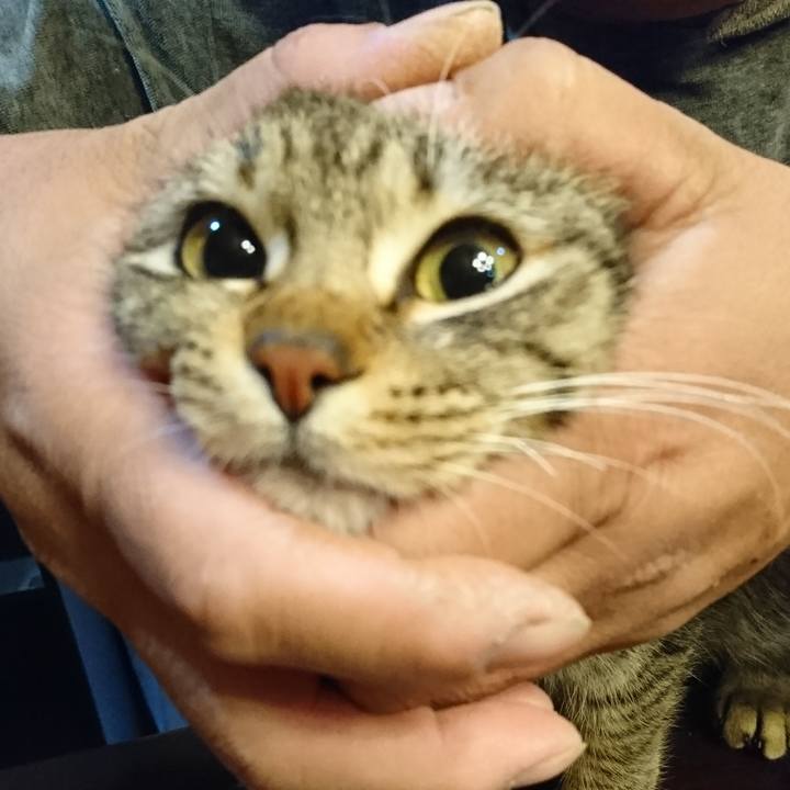 10cea918 7596 4706 8aaa aba4164a1b94 1552208409020