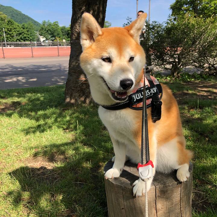 10cea98d ca3b 4b2f 84aa 290a907305ca 1563235724146