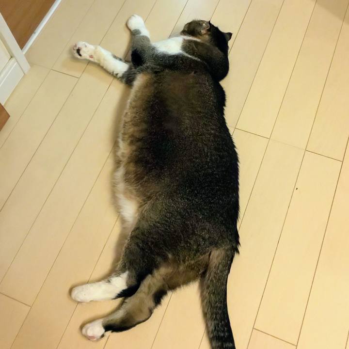 10ceaf14 7b8d 426c 8179 a997891391c0 1728909017089