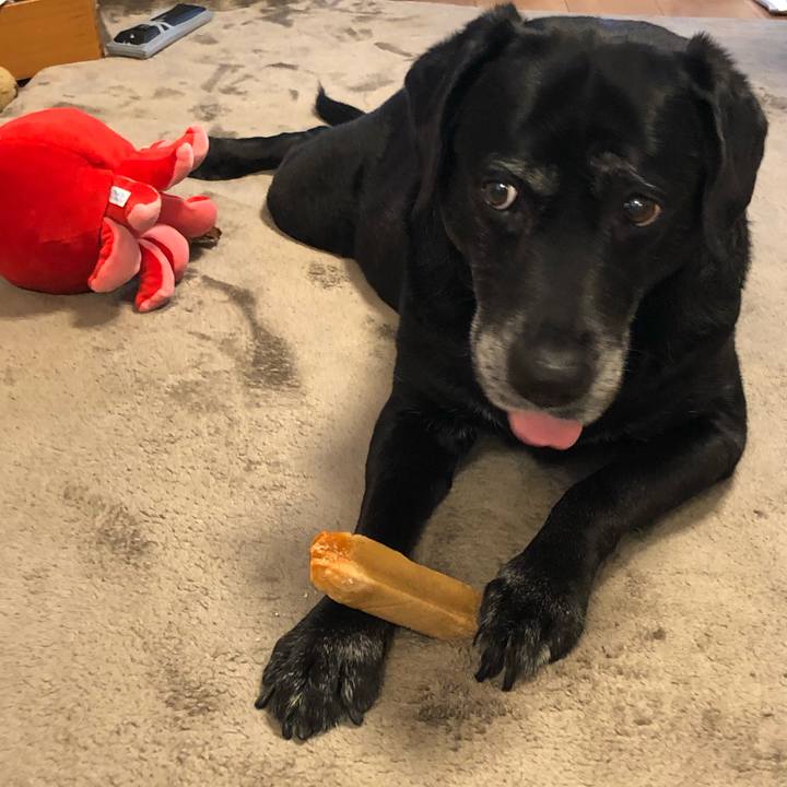 10cefeb9 736d 4d6d 9d4f d7710a5ebf14 1607145003050