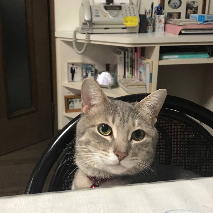 10cf20e0 2471 4b53 91c5 c32977920767 1553501072337