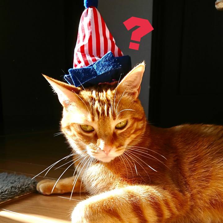 10cf446c 6bf0 4783 9090 dce29a3662ca 1610059276715