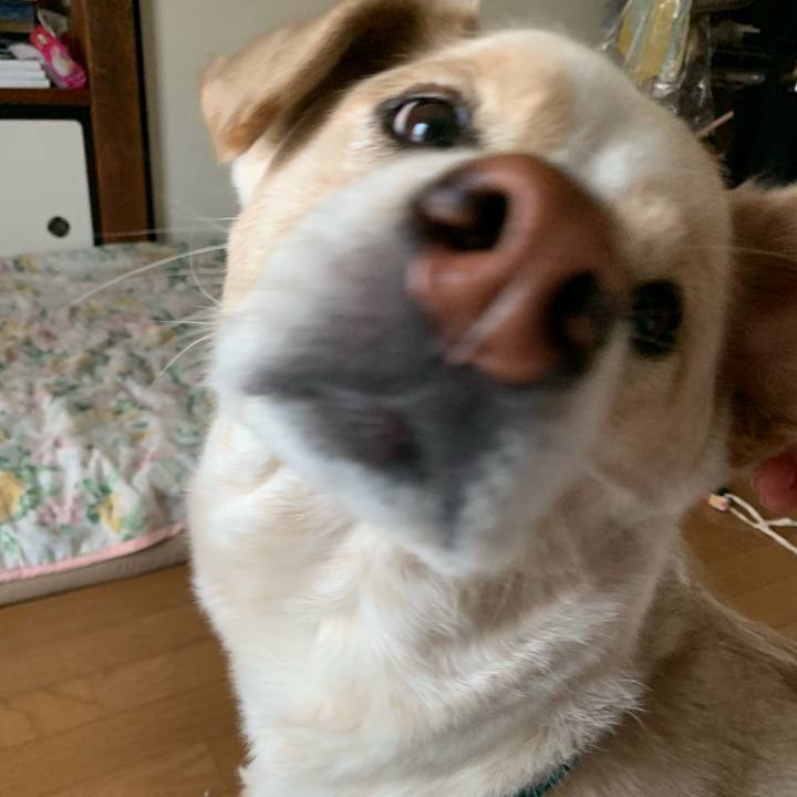 10cf638b 9e91 41b0 a8e4 41bd10ec6303 1555834210353