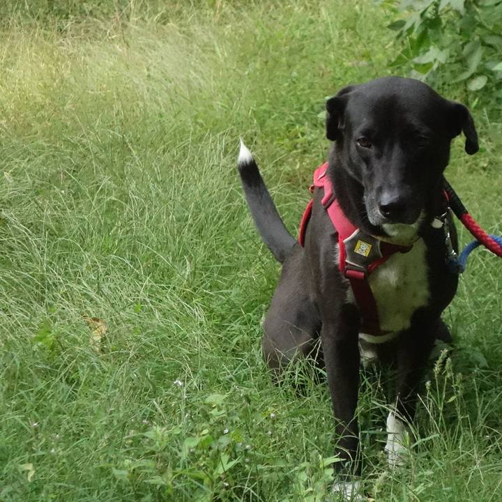 10cf82a4 1075 4a1f a6c2 b2cd16b46510 1603324192229