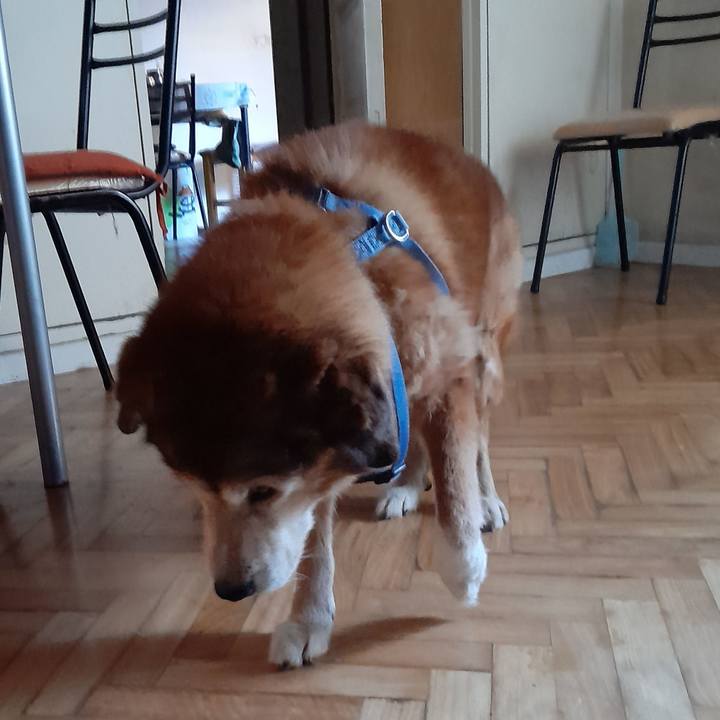 10cfd400 a90b 4f61 a2c2 705a41a11b5e 1760914533896