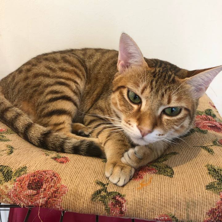 10cfdb8f 5b88 4b47 96ad 489a1c94d3a3 1570442794943