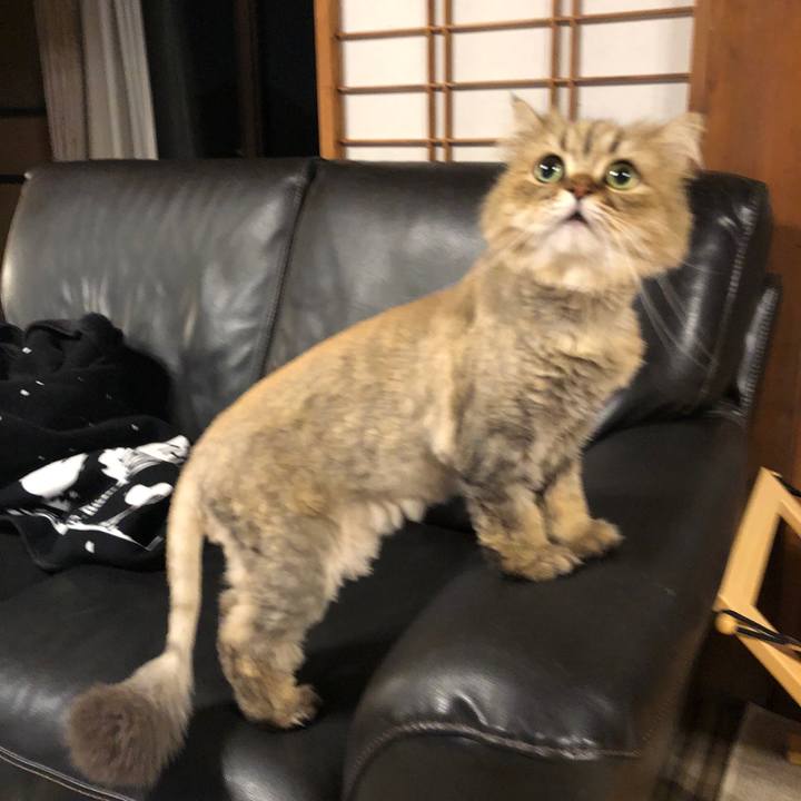 10cfe79d 7c46 44d7 a21c cf45d859e2c4 1561209646397