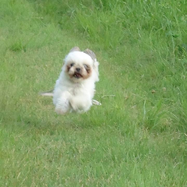 10cfeee4 ac66 492b bcd0 934e14b99202 1518678807423