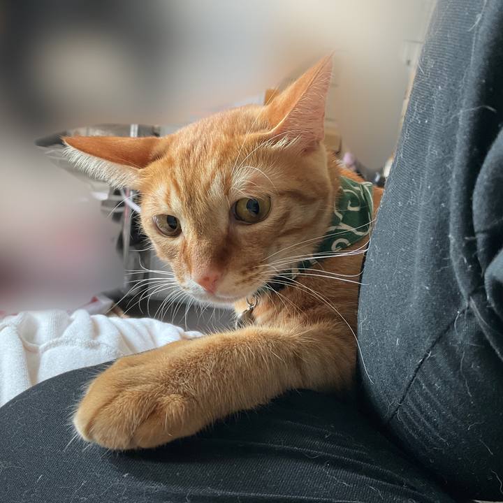 10d00fbd 430b 4bc6 90f0 956f51f808be 1632894473400