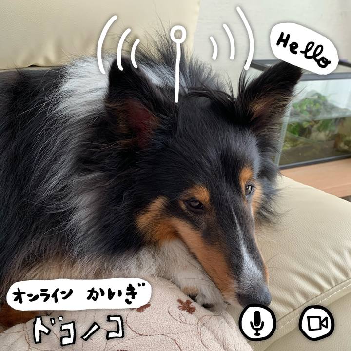 10d01f19 42cb 42c8 873f 7d8ac935d801 1590883504565