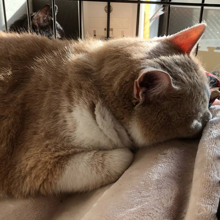 10d02e5c b8a1 4b28 b9c7 2a05e3d6e818 1606347738002