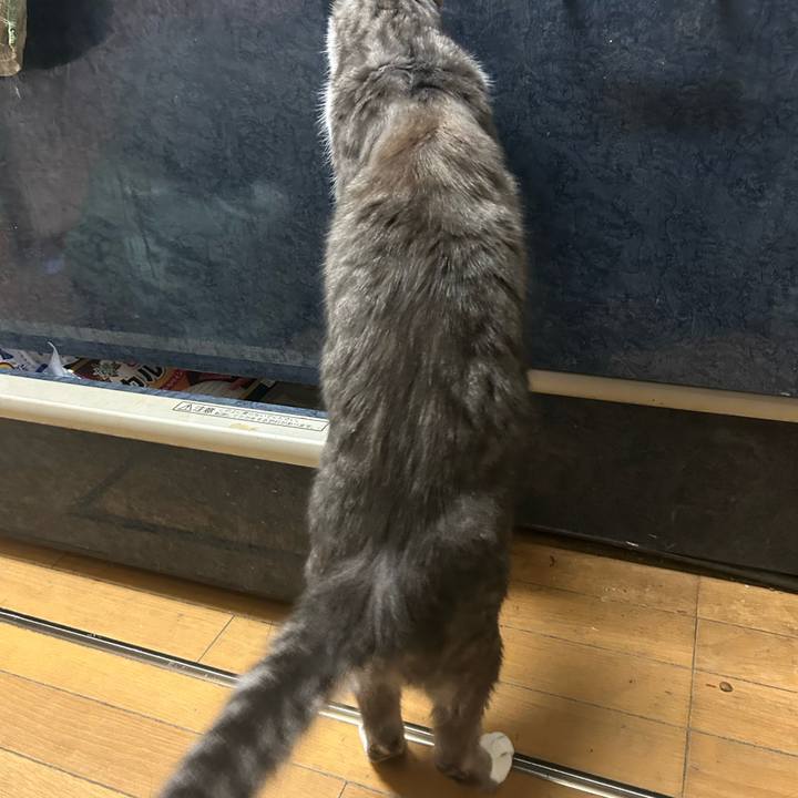 10d0355e 0da7 4c59 962e be84602ffe6b 1775139407789