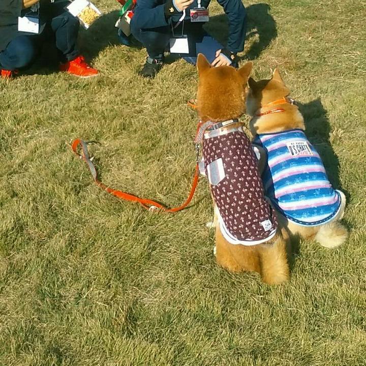 10d05854 5458 41be b732 ab7ab92543db 1573910910389