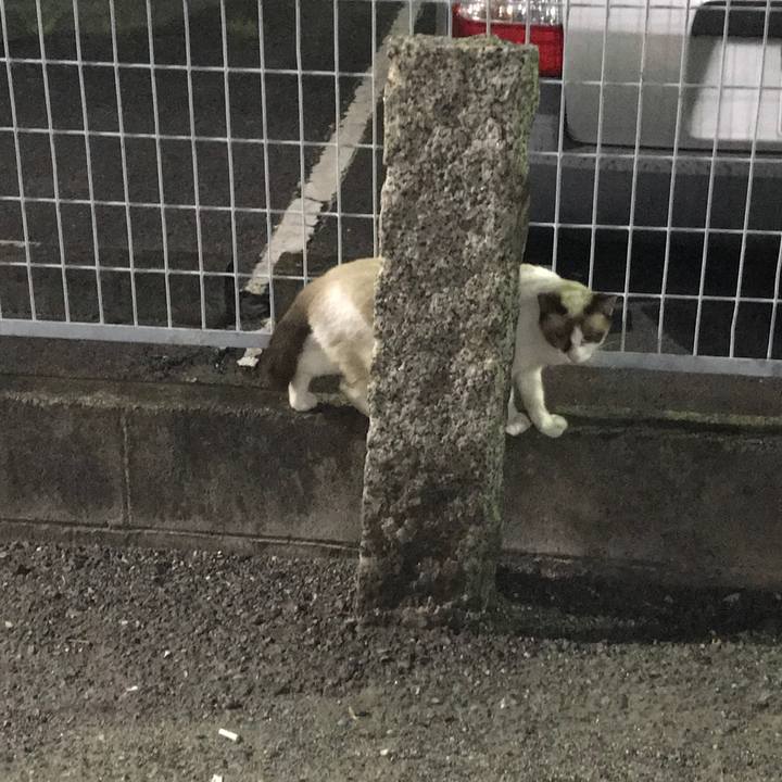 10d069c3 ba9b 4fbd a5c2 d24be9f149f8 1531317827579