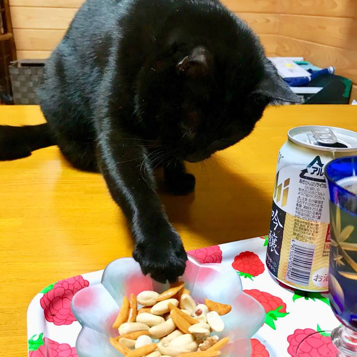 10d0a3c7 ec9c 4dba a972 ef684b918c55 1508842552570