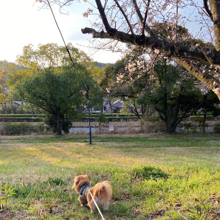 10d0a66e 8188 4859 a094 04038b2c6f19 1616621471432