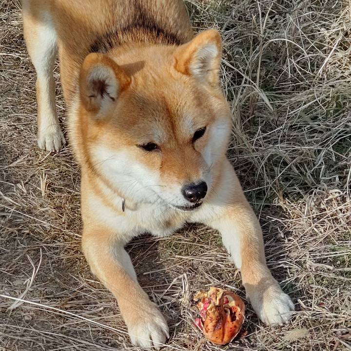 10d0b662 0f91 4c7e 9c06 57911f3c40ae 1644218891930